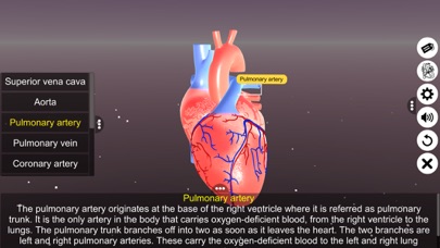 Sections of human heart Screenshot