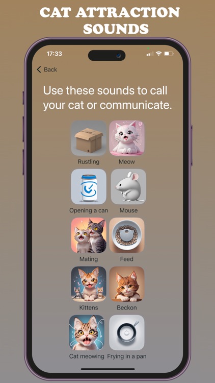 Cat Meow Interpreter