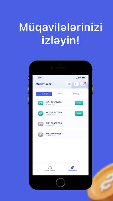 Ferrum Capital Screenshot