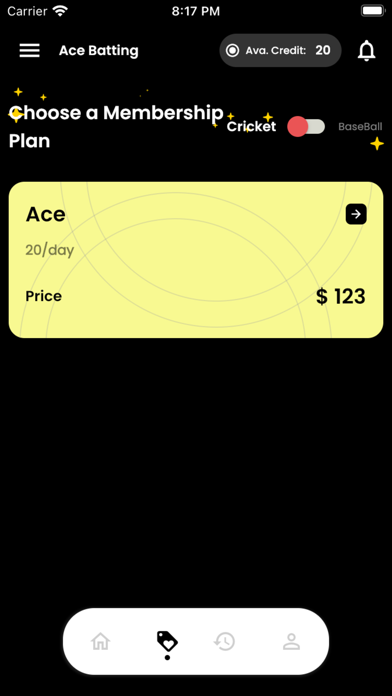 ACE Batting Screenshot