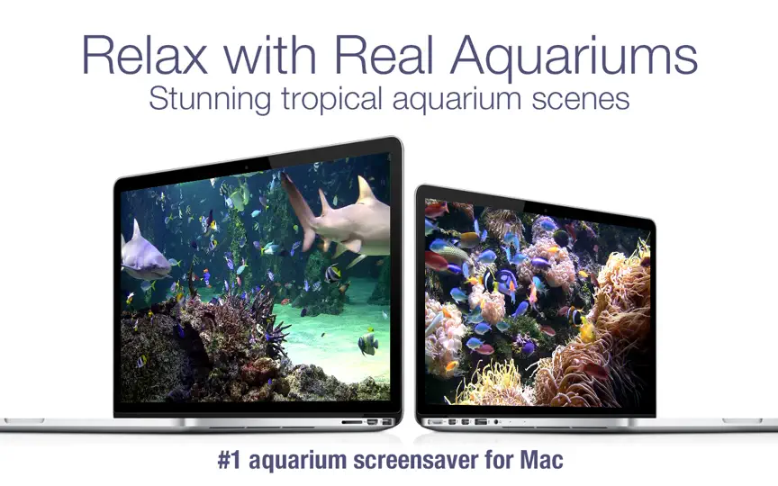 Aquarium Live HD Screensaver iPhone Ekran Görüntüsü 3