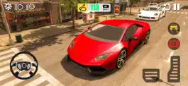 Game screenshot Driving Simulator: Car Games mod apk