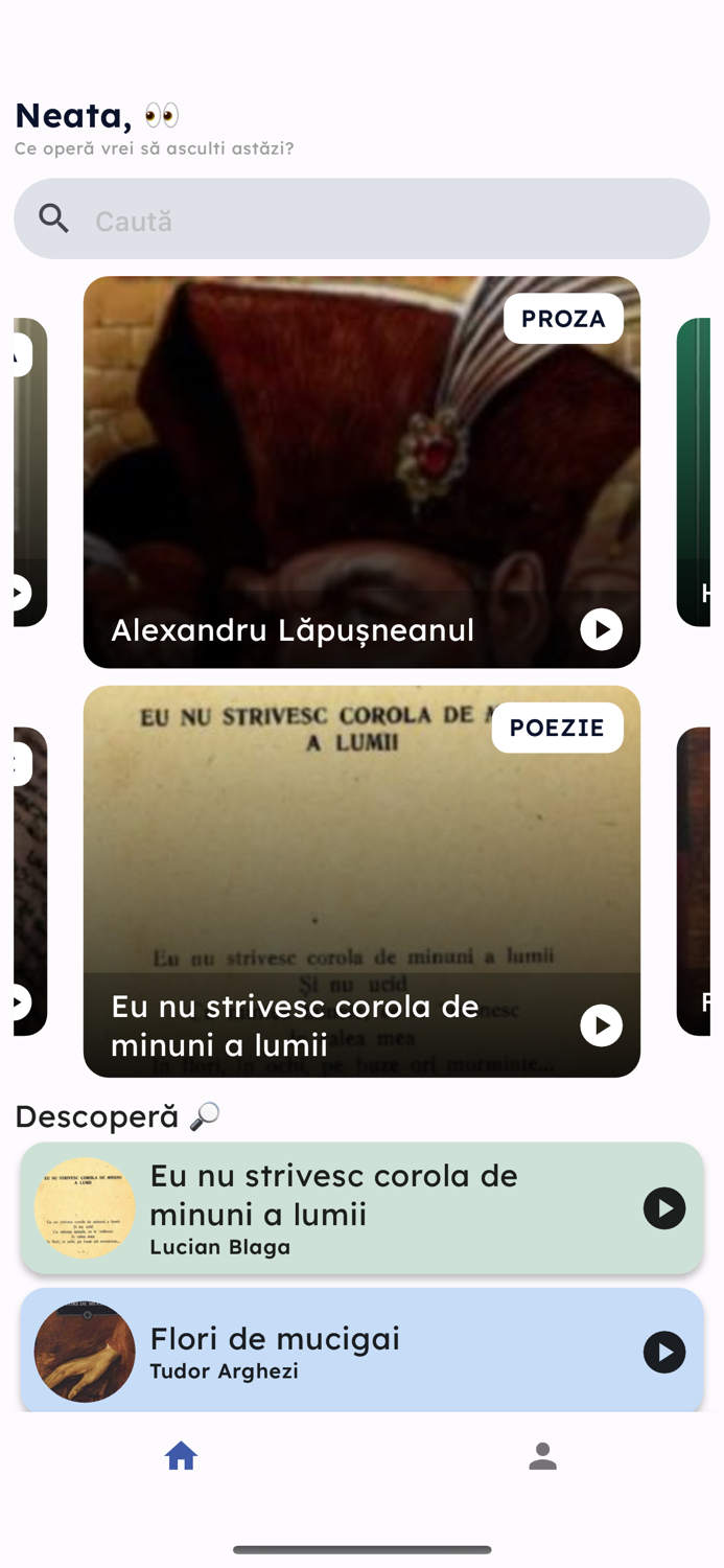 Comentarii BAC audio