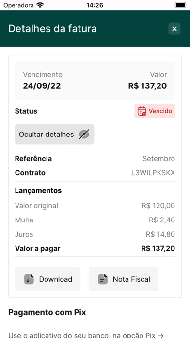 Portal Netfibra Screenshot
