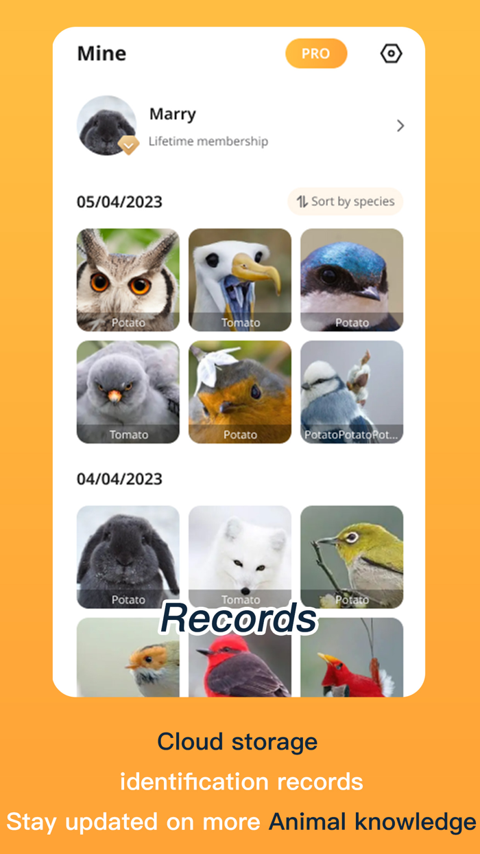AnimalsSnap-Animal Identifier