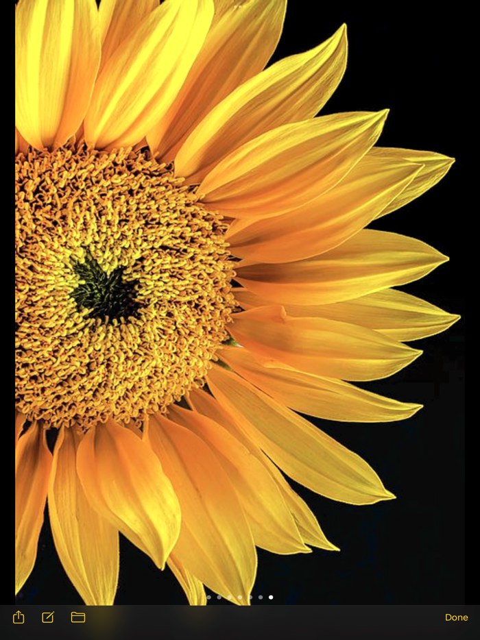 Private Pics try then buy