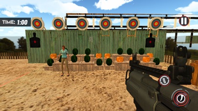 Target Shooting Game Screenshot