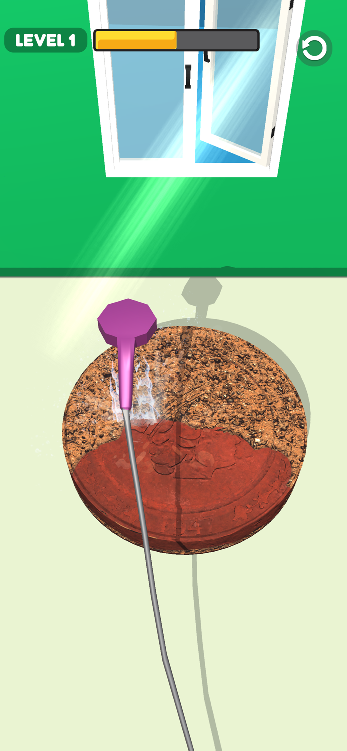 Coin Cleaner 3D