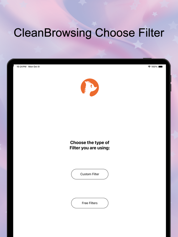 Screenshot #6 pour CleanBrowsing.org DNS