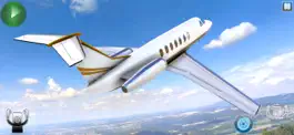 Game screenshot Passenger Aeroplane Fly Games apk