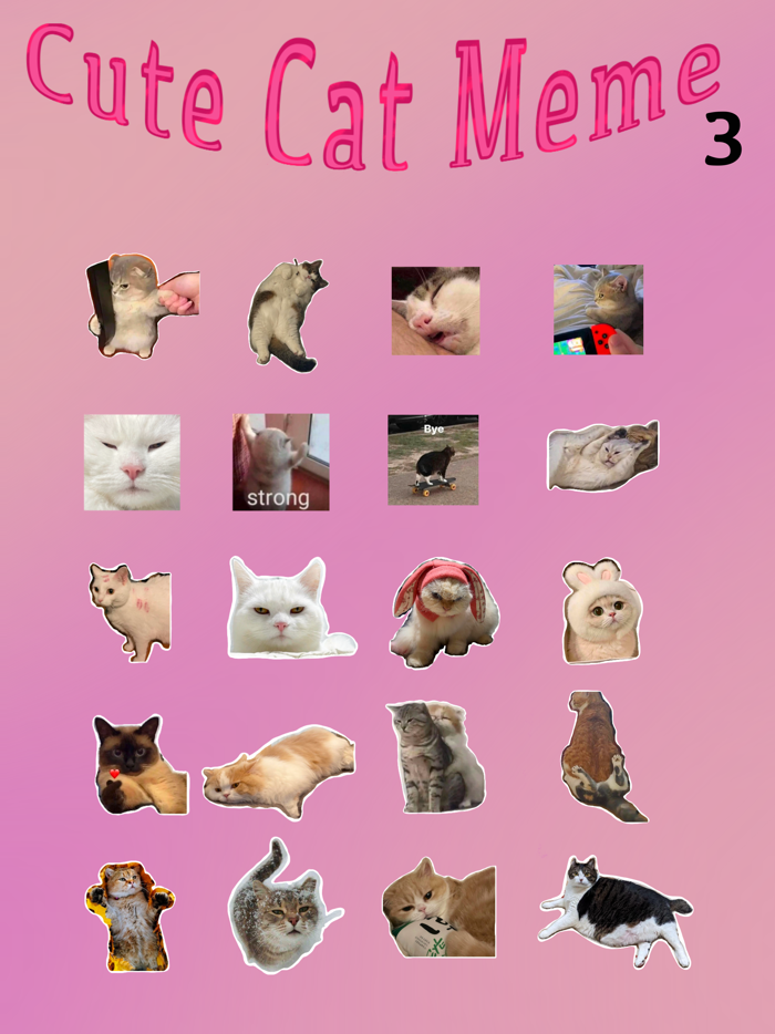 Cute Cat Meme 3