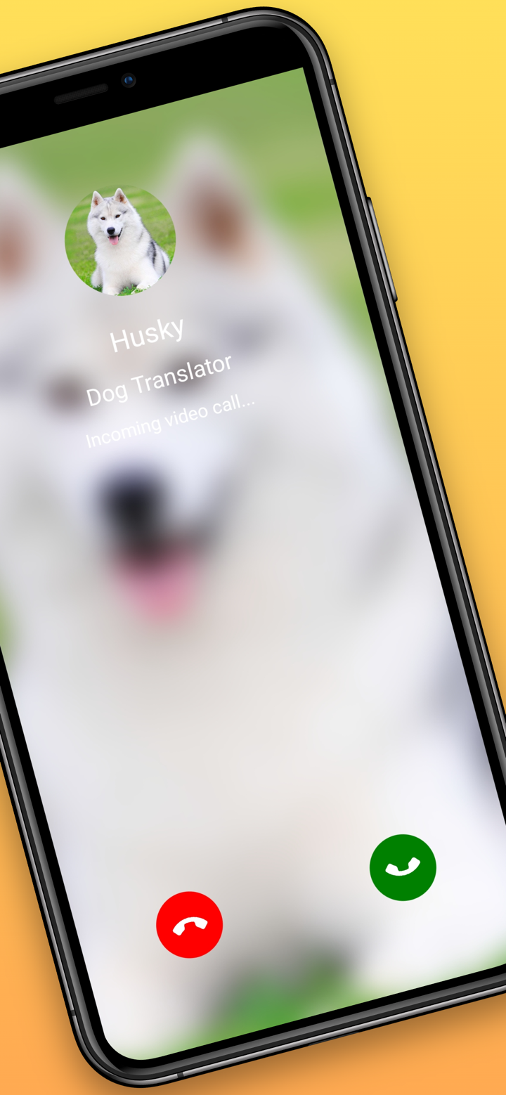 Dog Translator Prank Simulator screenshot 2