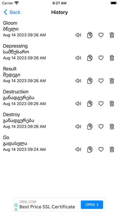 Smart Georgian Dictionary Screenshot