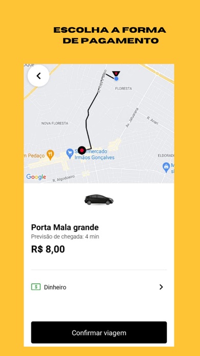 Vamos mob passageiro Screenshot