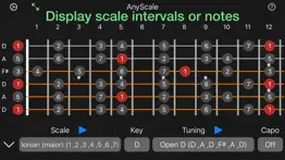 anyscale - tunings & scales iphone screenshot 1
