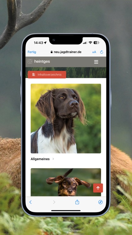 Jagdtrainer screenshot-4
