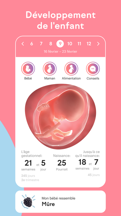 Screenshot #1 pour Suivi de Grossesse et Bébé