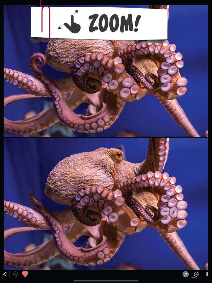 Find the differences 750