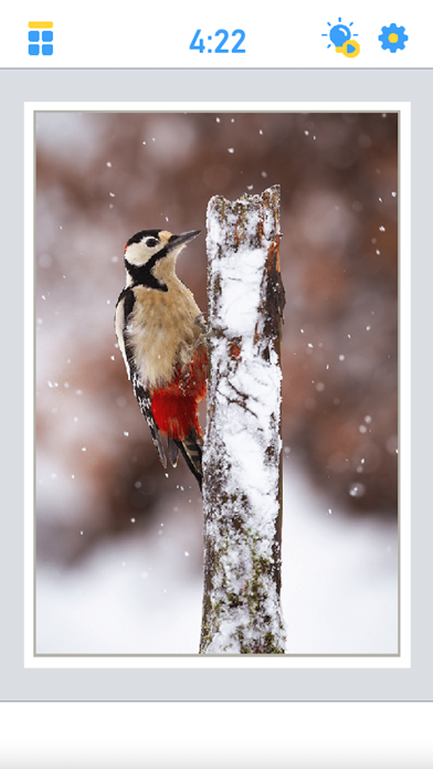 Antistress Jigsaw Puzzle Screenshot