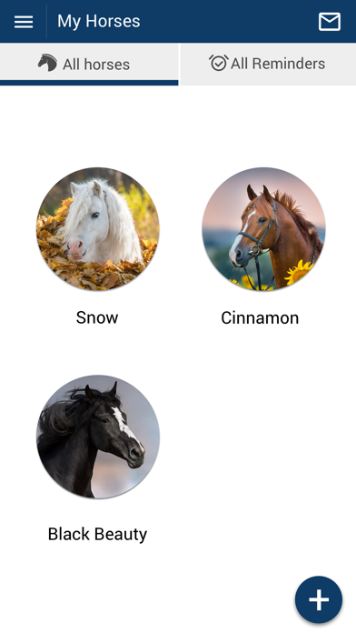 Mandarin Equine Veterinary Screenshot