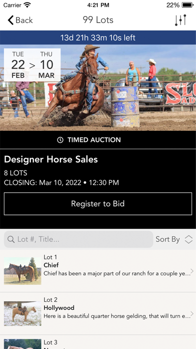 Designer Horse Sales Screenshot