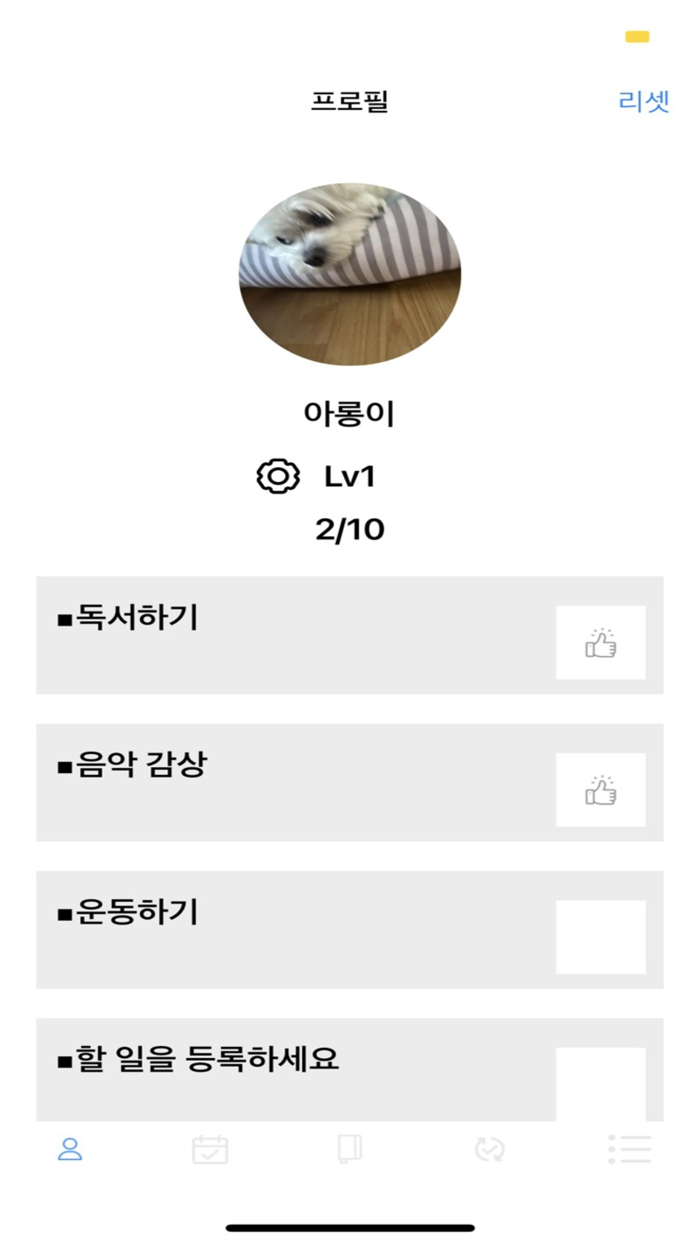 레벨업 프로젝트