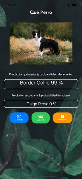 Game screenshot Qué Perro hack