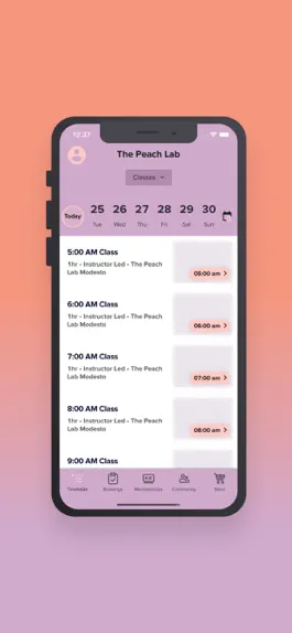 Game screenshot The Peach Lab Mobile hack
