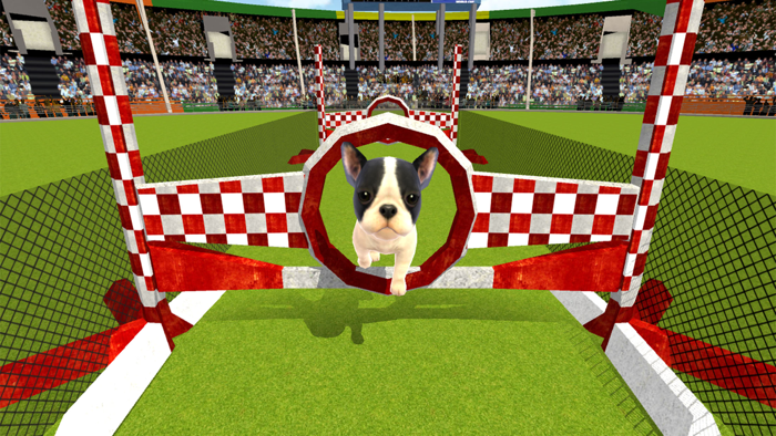 Puppy Show Simulator 3D