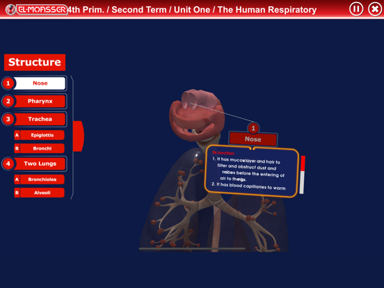 Screenshot #6 pour Respiratory System - GPS