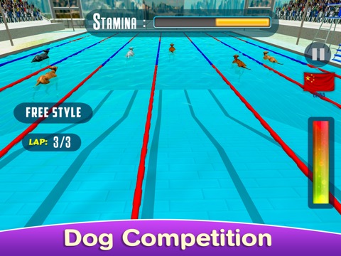 Dog Swimming Raceのおすすめ画像3