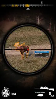 deer hunter! problems & solutions and troubleshooting guide - 4