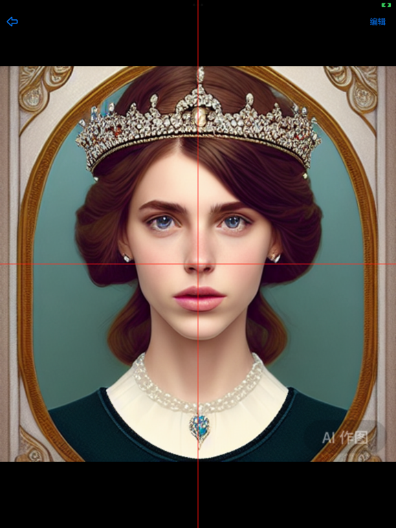 对称脸 iPad screenshot 3 - Photo & Video app