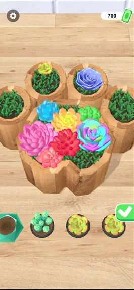 Game screenshot DIY Succulents hack