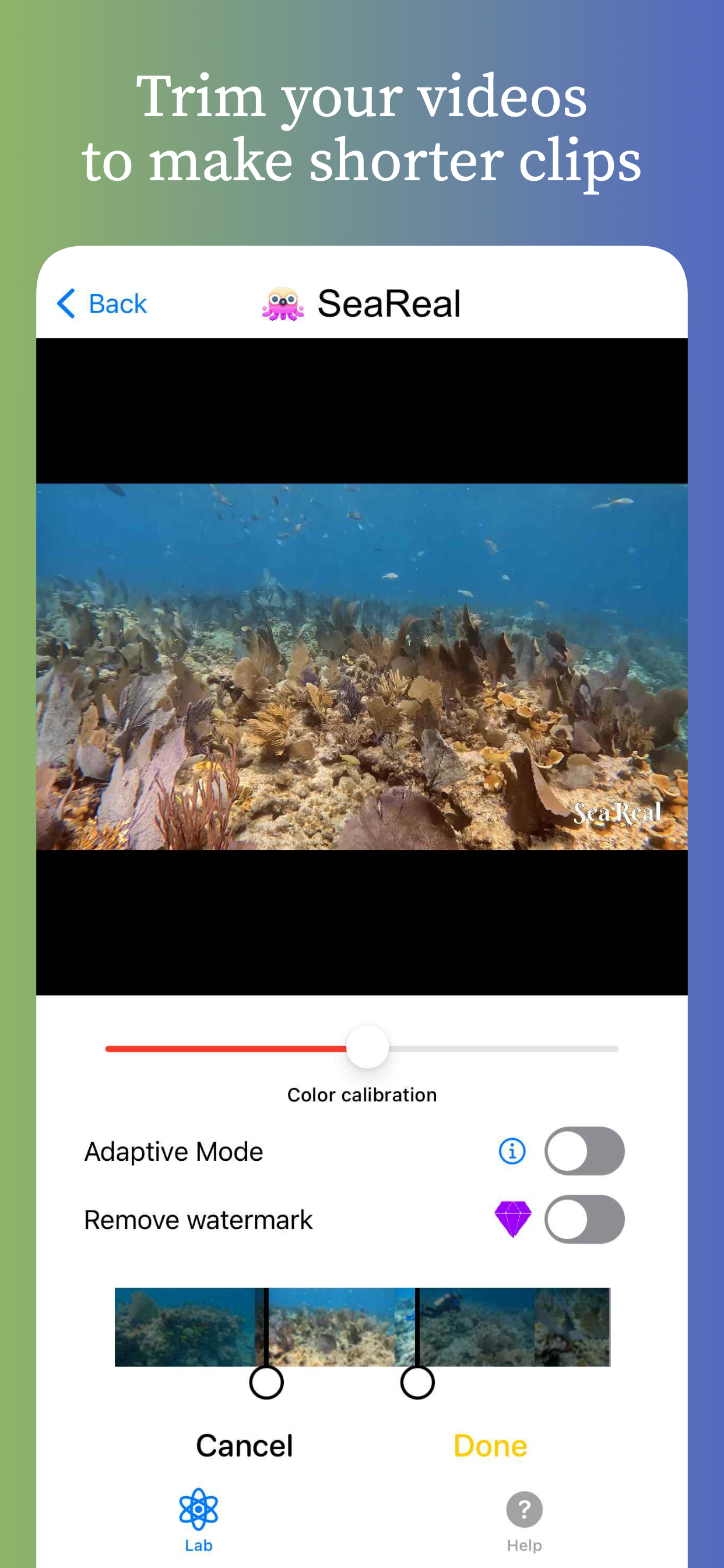 SeaReal: Dive Photo Editor