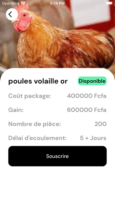 Invest CI Screenshot