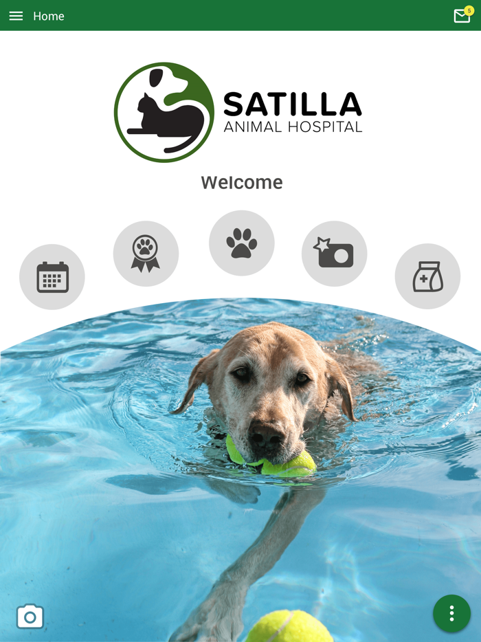 Satilla Animal Hospital