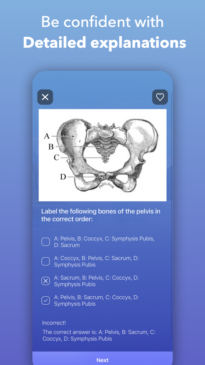 NCLEX Exam Prep 2022