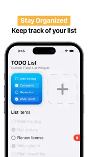 to do list & widget iphone screenshot 1