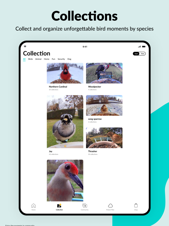 Screenshot #6 pour Birdfy