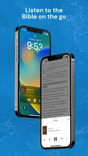 holy bible king james + audio iphone screenshot 4