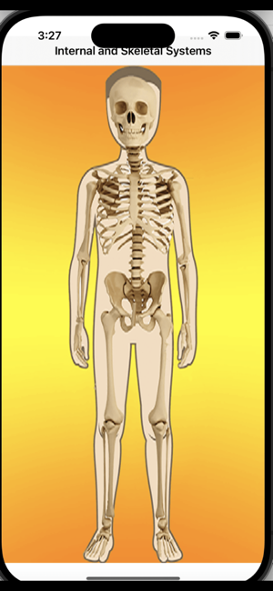 ‎Body Parts Skeletal & Internal Screenshot