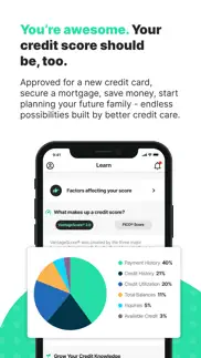 repair & build credit – dovly problems & solutions and troubleshooting guide - 3