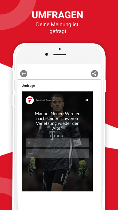 Fussball Europa Screenshot