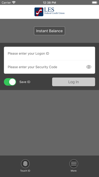 LES Federal Credit Union Screenshot