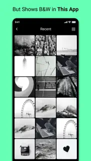 ansal - black & white photos iphone screenshot 4