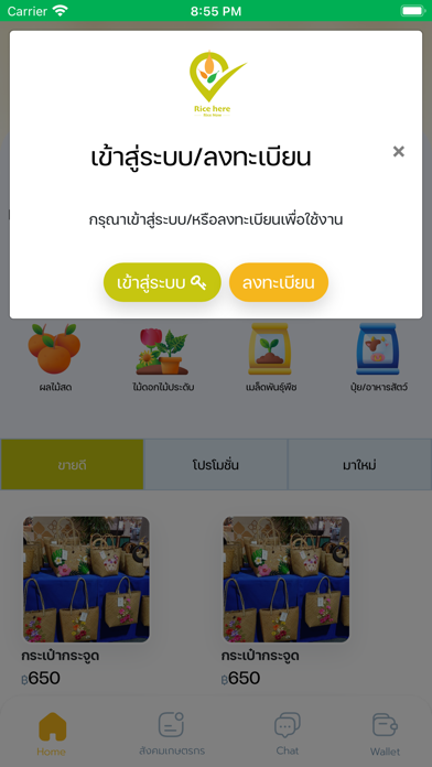 Rice Here Screenshot