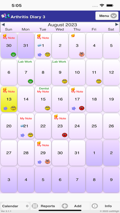 Arthritis Diary 3 Screenshot