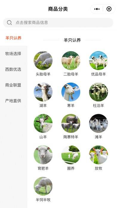 西部数农 Screenshot
