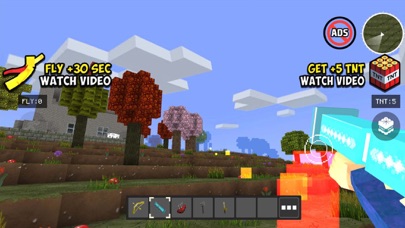 Screenshot #2 pour World Craft HD